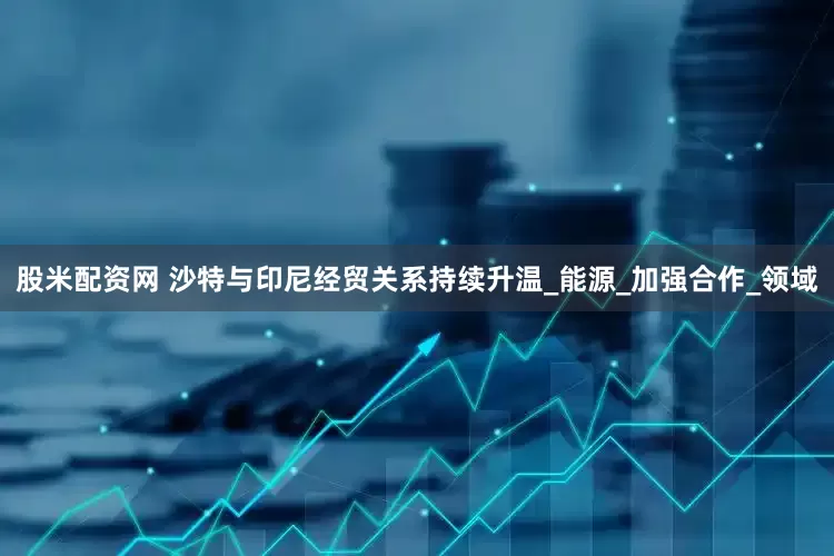 股米配资网 沙特与印尼经贸关系持续升温_能源_加强合作_领域