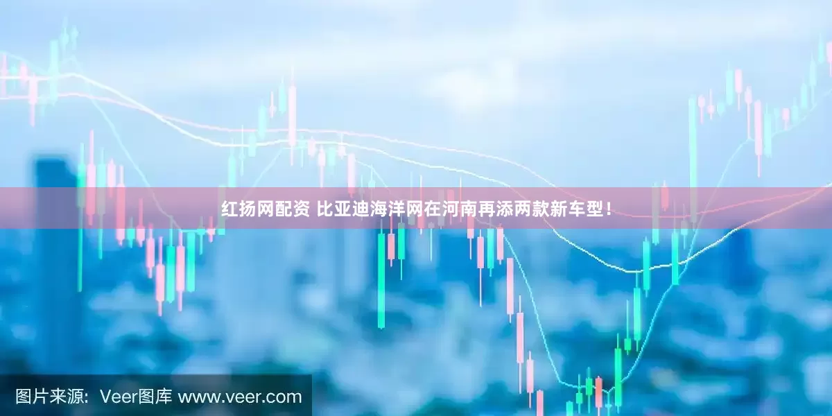 红扬网配资 比亚迪海洋网在河南再添两款新车型！
