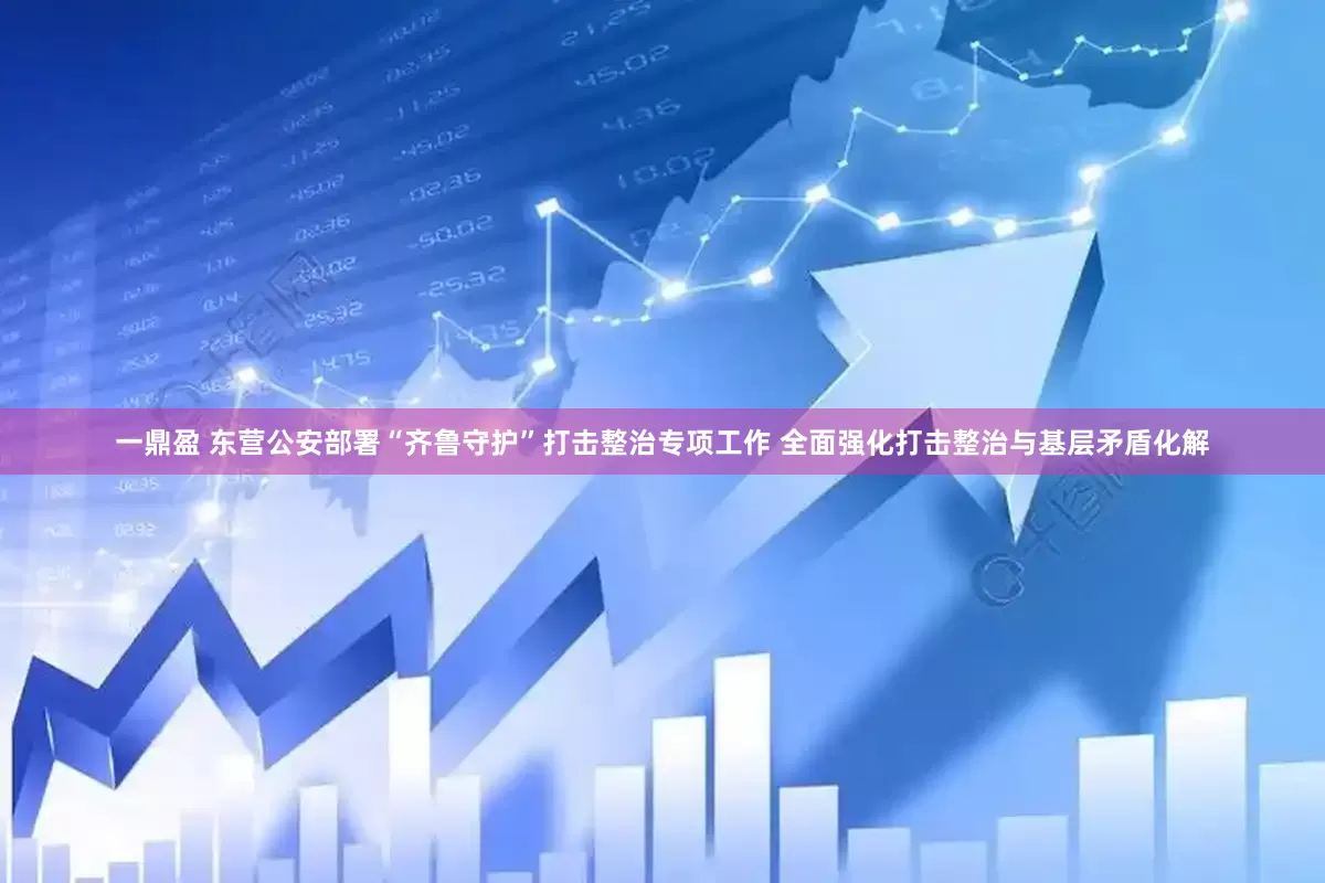 一鼎盈 东营公安部署“齐鲁守护”打击整治专项工作 全面强化打击整治与基层矛盾化解
